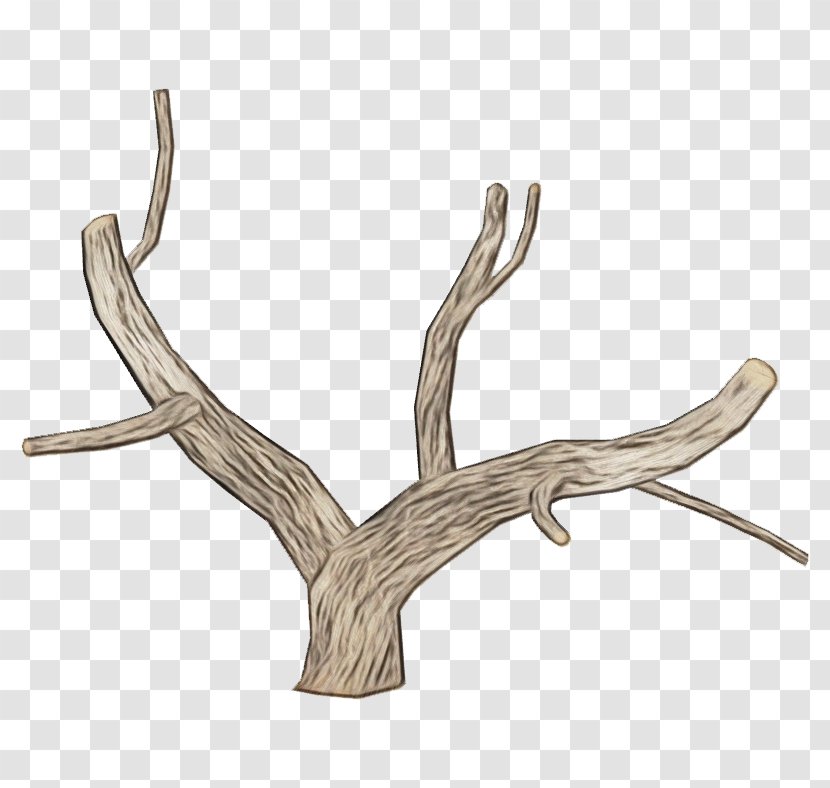 Twig Background - Branch - Driftwood Transparent PNG
