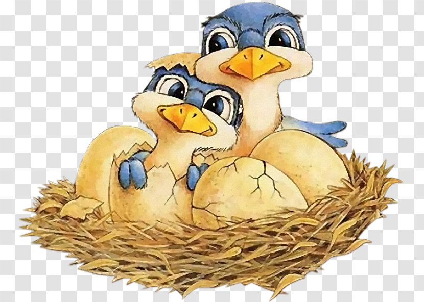 Bird Nest Clip Art GIF Image - Finches Transparent PNG