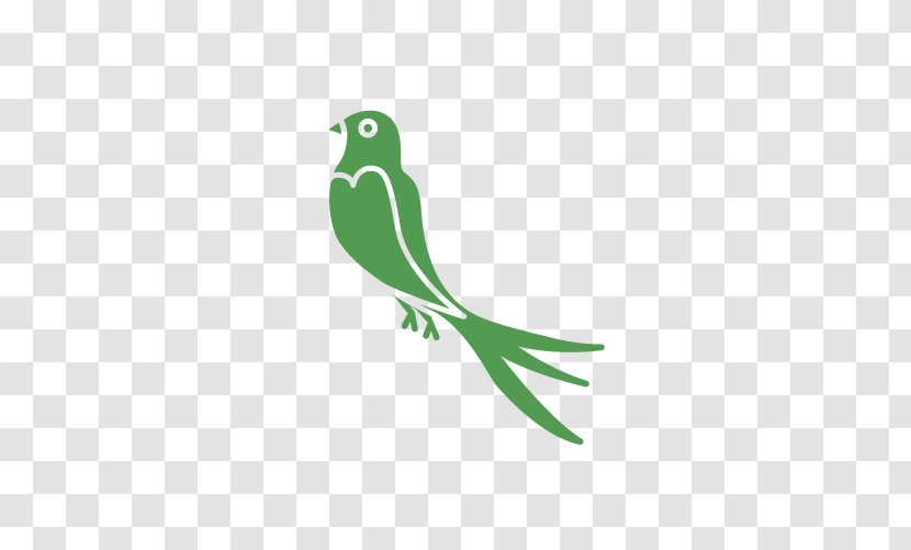 Beak Swallow Lovebird Clip Art - Fauna - Bird Transparent PNG