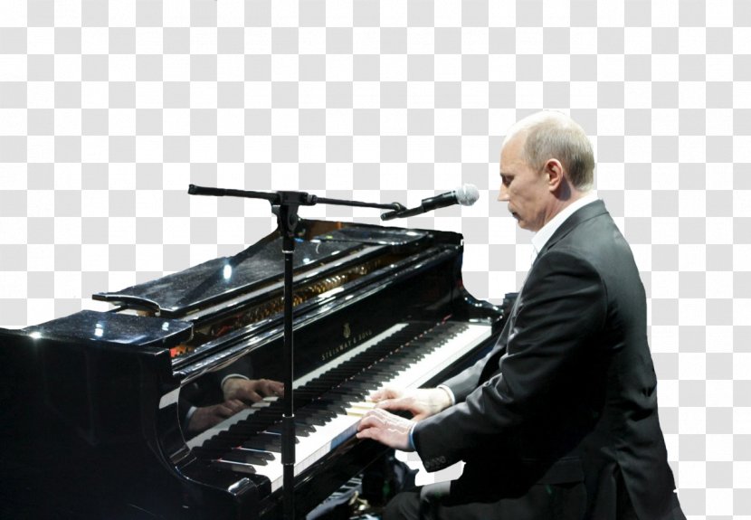 Saint Petersburg President Of Russia Prime Minister United States - Flower - Moey Transparent PNG