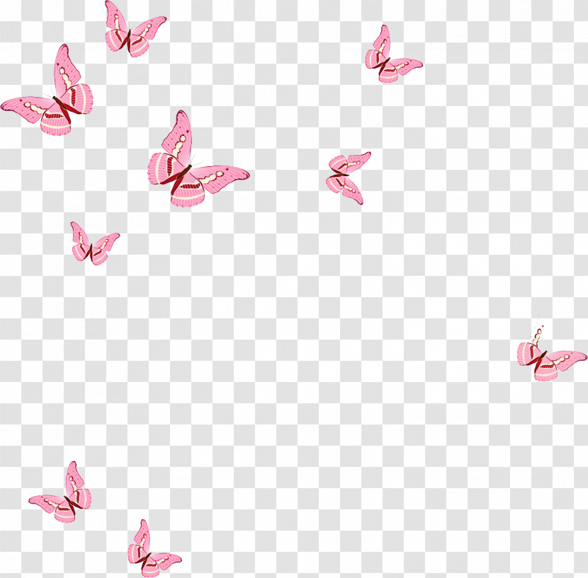 Butterflies Borboleta Transformation Pink Transparent PNG