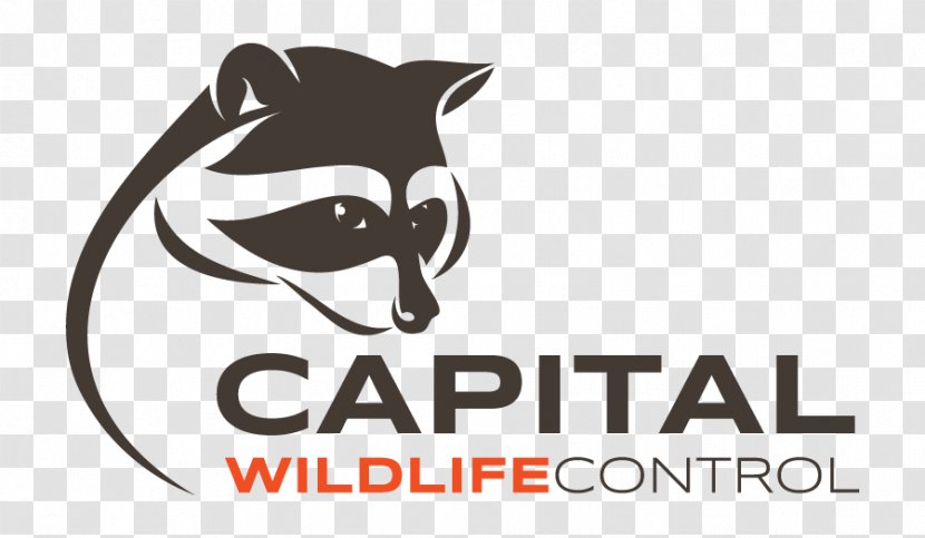 Logo Canidae Raccoon Cat Mammal - Dog Like Transparent PNG