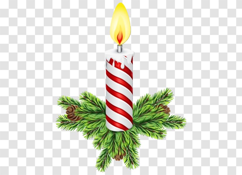 Birthday Candle - Fir - Holiday Leaf Transparent PNG