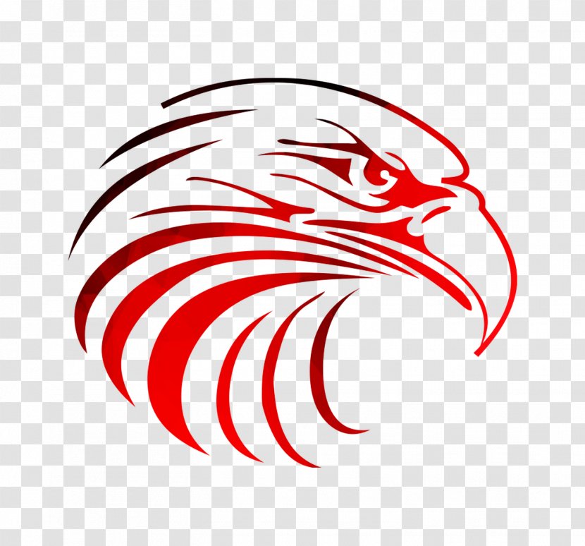 Patriot Preparatory Academy School Beatrice Drive Joy - Beak - Hawk Transparent PNG