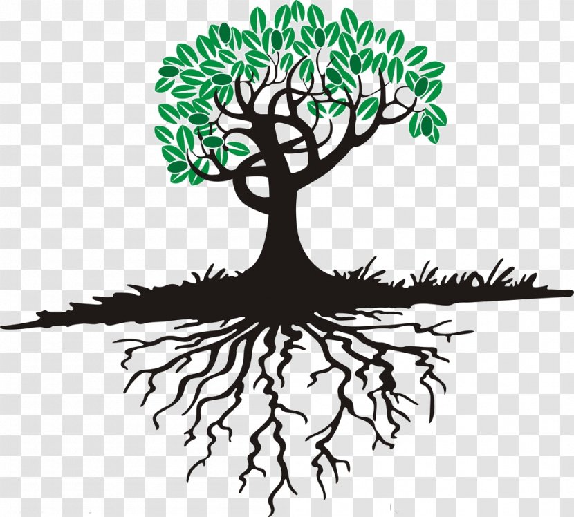 Cartoon Tree Root - Branch - Trees Transparent PNG