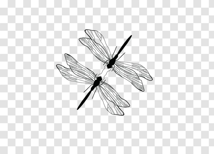 Download Dragonfly - Insect - Painted Black Stick Figure Style Transparent PNG