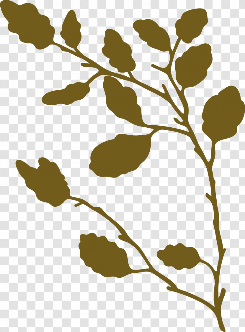 Twig Plant Stem Leaf Pattern Flower Transparent PNG