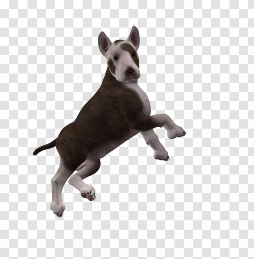 Dog Breed Puppy Pet Canidae - Cuteness - Puppies Transparent PNG
