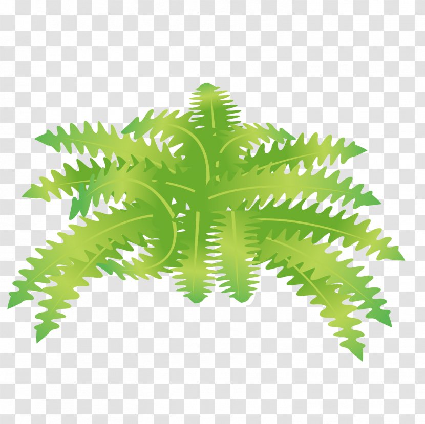Vector Green Lush Zigzag Leaves - Plant - Herbaceous Transparent PNG