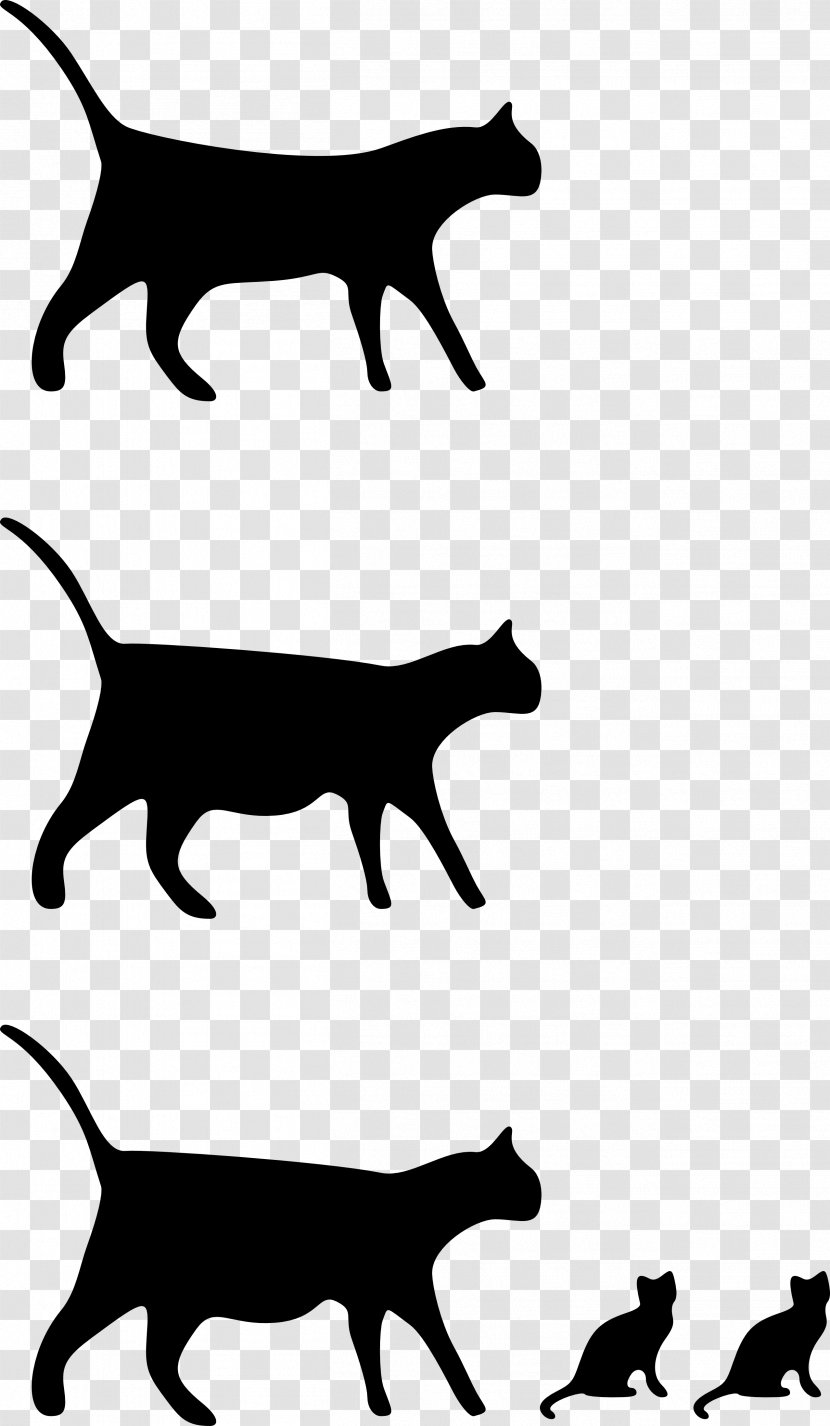 Cat Kitten Clip Art - Snout - Black And White Drawings Transparent PNG