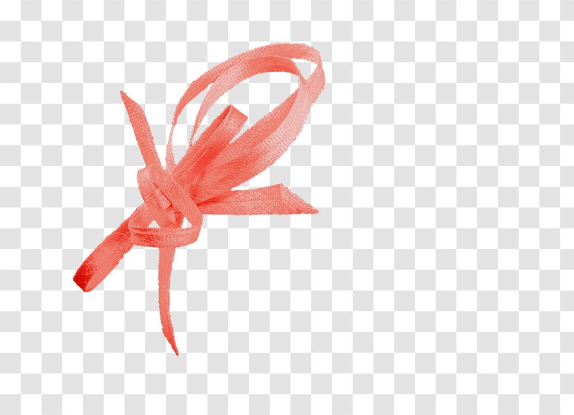 Hat Ribbon Hadleigh Fuchsia Pink Transparent PNG