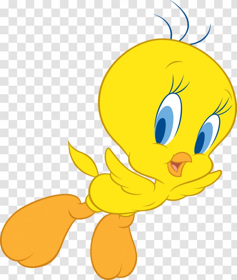 Tweety Drawing Clip Art - Free Content - Birds Cartoon Images Transparent PNG