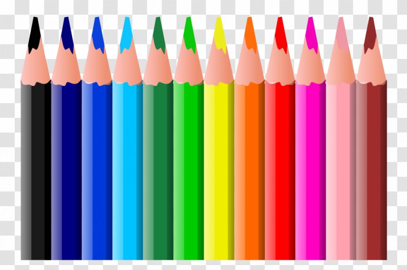 Crayon Coloring Book Clip Art - Office Supplies - Free Playground Clipart Transparent PNG