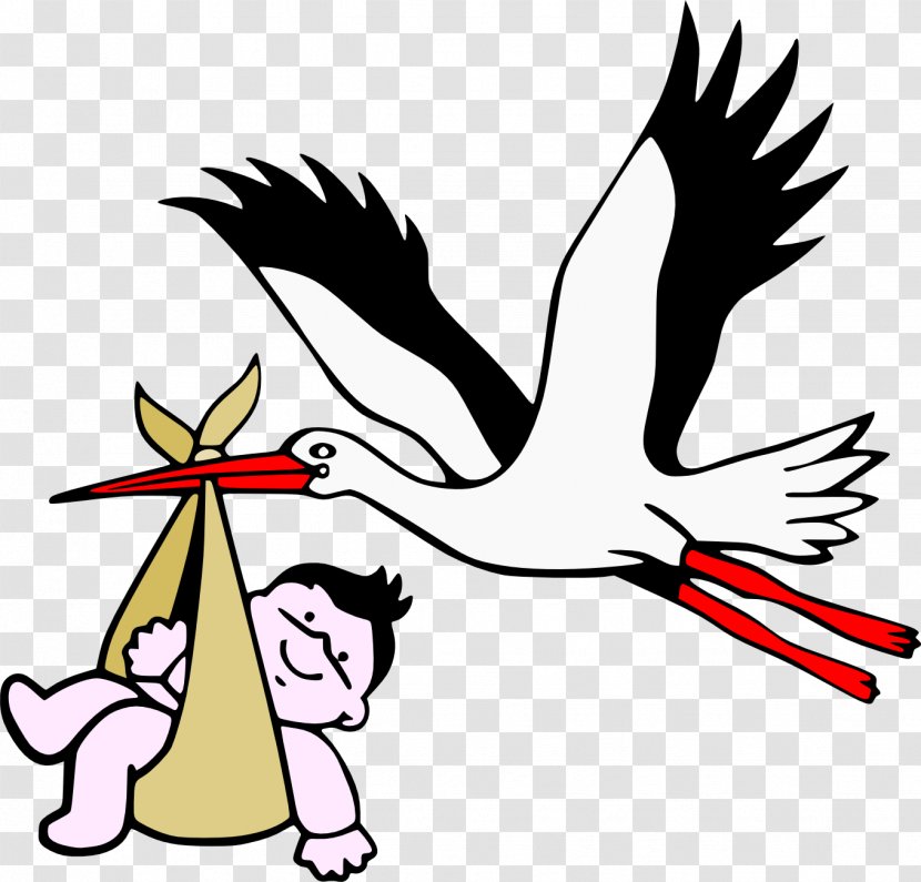 Childbirth Pregnancy Infant - Obstetrics And Gynaecology - Stork Baby Transparent PNG