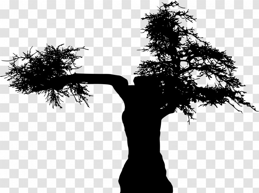 Tree Branch Silhouette - Trunk Blackandwhite Transparent PNG
