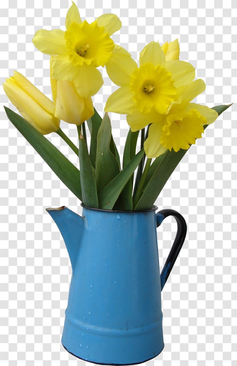 Flower Tulip Watering Cans Vase Daffodil - Plant Transparent PNG
