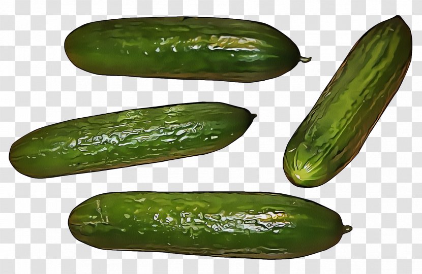 Vegetable Cucumber, Gourd, And Melon Family Cucumber Scarlet Gourd Cucumis - Zucchini - Spreewald Gherkins Transparent PNG