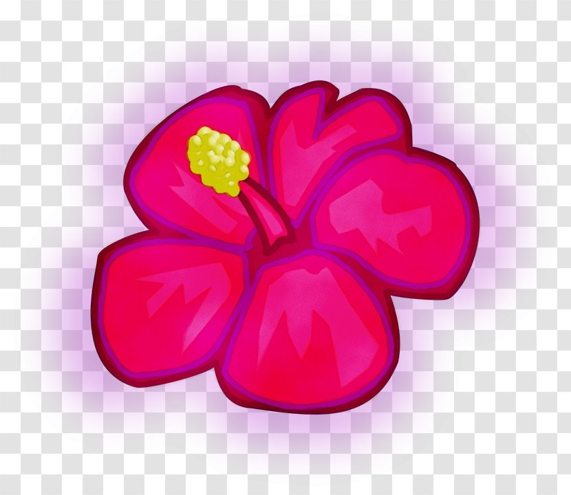 Drawing Of Family - Hibiscus - Herbaceous Plant Mallow Transparent PNG