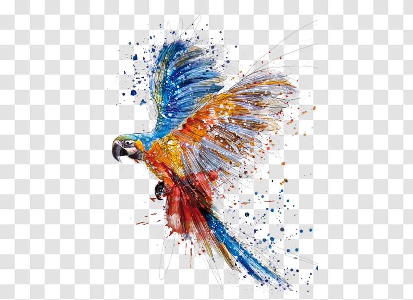 Parrot Bird Watercolor Painting Drawing - Organism Transparent PNG