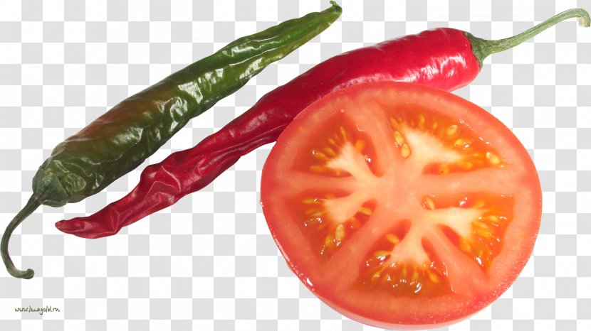 Bell Pepper Bird's Eye Chili Vegetable Food - Serrano Transparent PNG