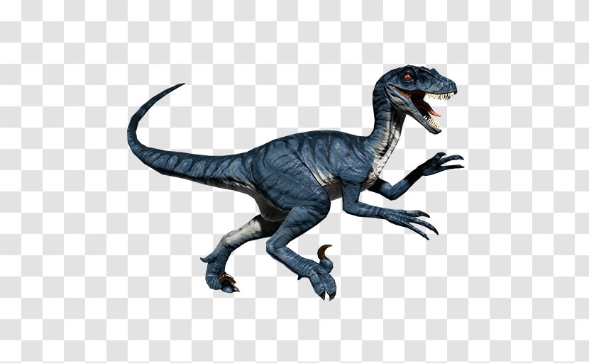 Velociraptor Primal Carnage: Extinction Tyrannosaurus Spinosaurus - Terrestrial Animal - Dinosaur Transparent PNG