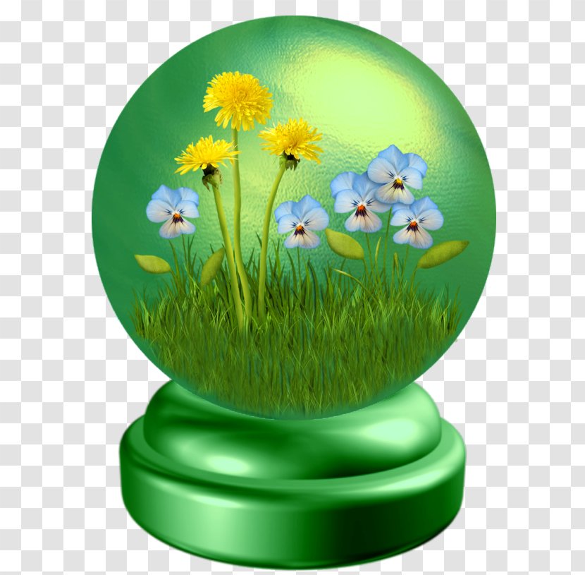 Easter Egg Background - Grass - Meadow Camomile Transparent PNG