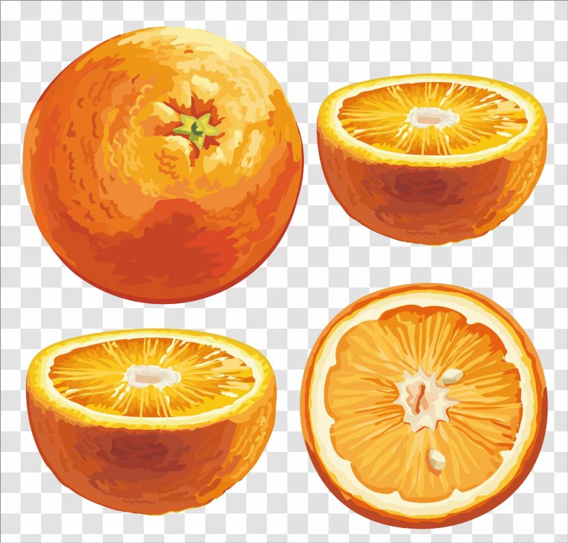 Orange Citrus Xd7 Sinensis Android Clip Art - Slice - Sweet Oranges Transparent PNG