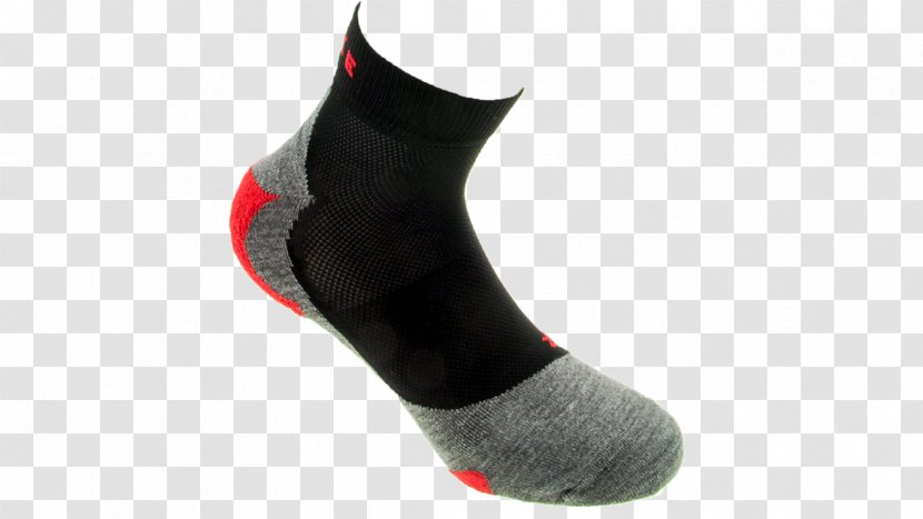 FALKE KGaA Sock Running Shoe Ankle - Koole Sport Transparent PNG