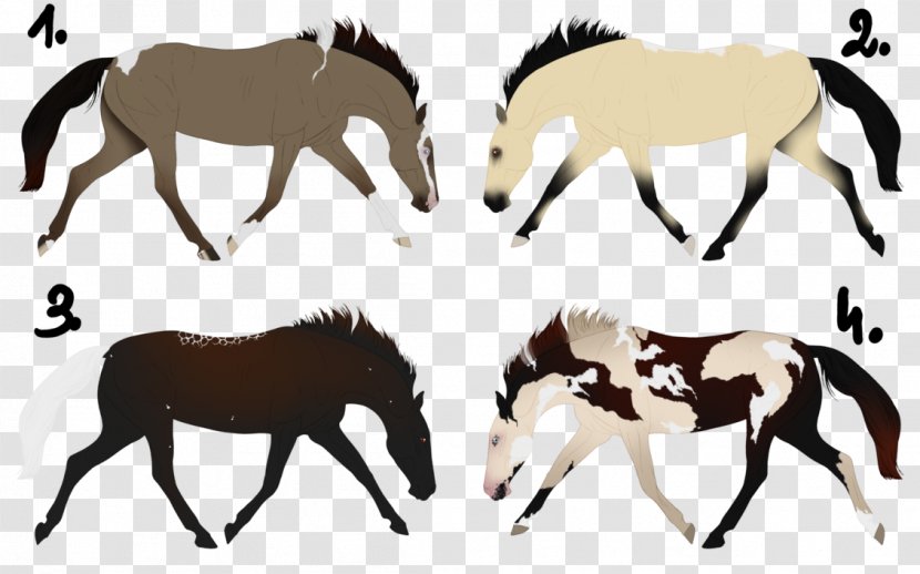 Mule Mustang Foal Mare Stallion - Horse - Minimal Tobiano Transparent PNG