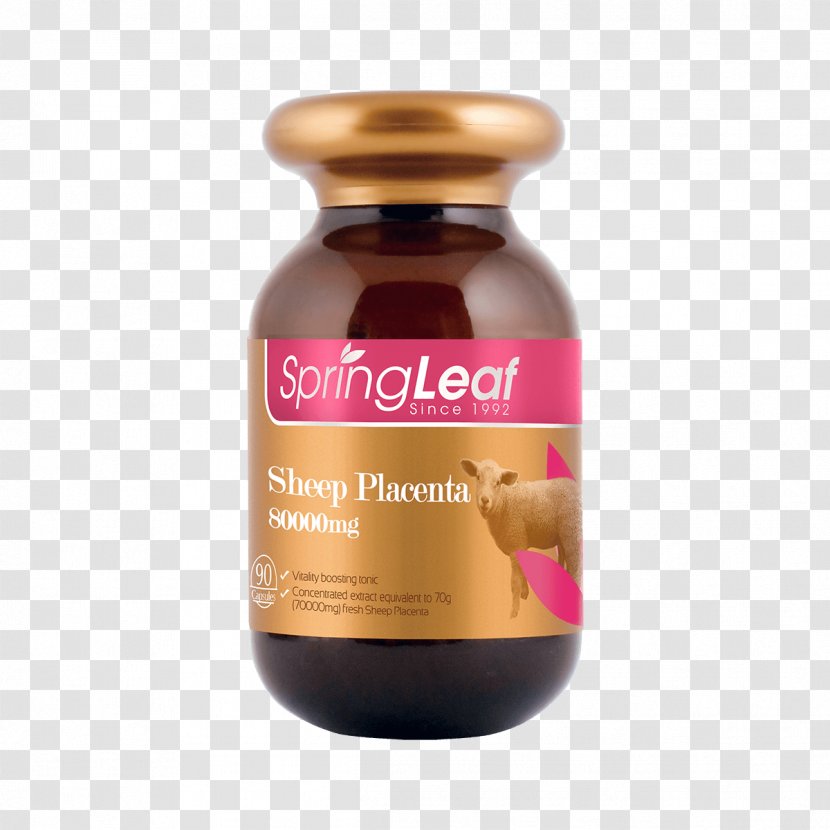 Placenta Dietary Supplement Sheep Vitamin Capsule - Manuka Transparent PNG