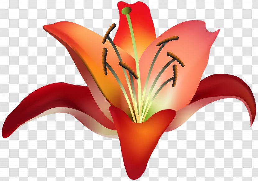 Heart Clip Art - Plant - Red Flower Image Transparent PNG