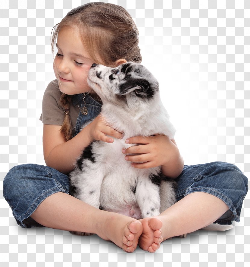 Stock Photography Puppy Girl Dog Cuteness - Female - Animal Welfare Transparent PNG