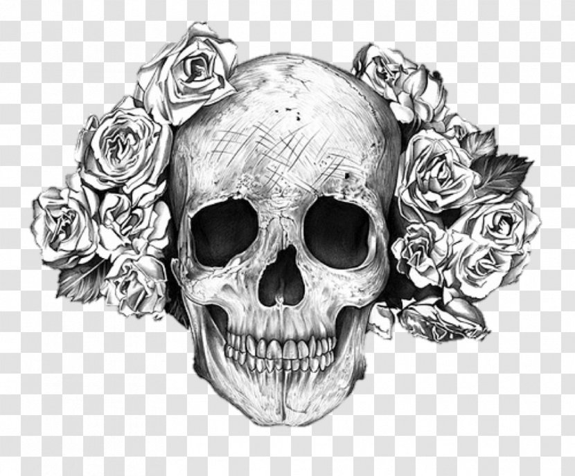 Human Skull Symbolism Rose Bone Art - Calavera Transparent PNG