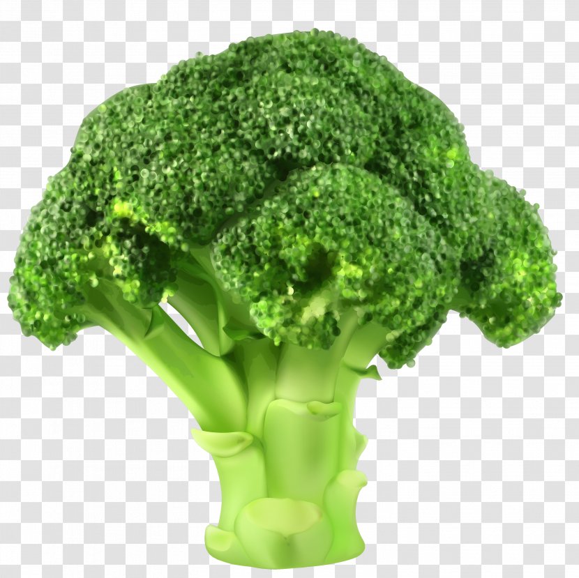 Broccoli Cauliflower Vegetable Clip Art - Brassica Oleracea Transparent PNG