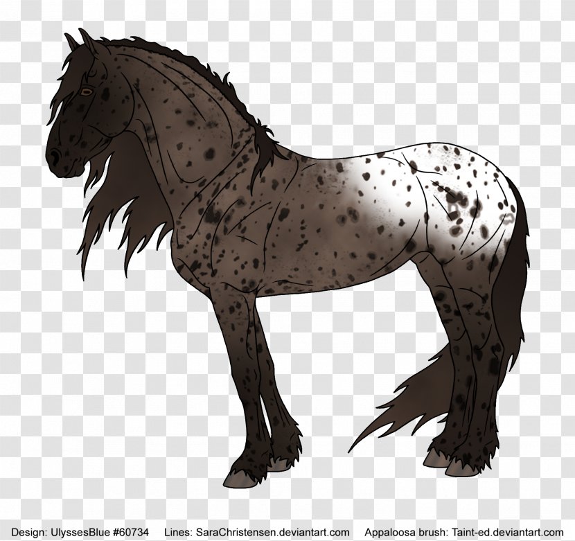 Friesian Horse Mustang Mane Stallion Pony - Organism - Spotted Transparent PNG