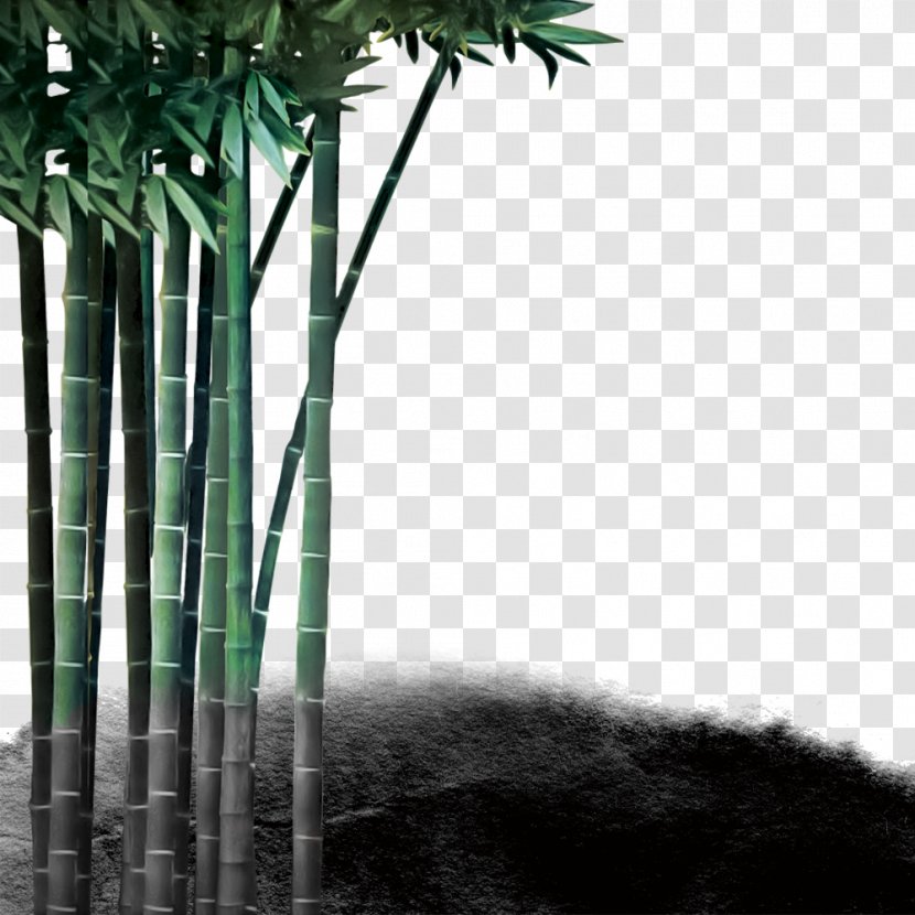 Bamboo Reversal Film Bambusa Oldhamii - Poster - FIG Material Transparent PNG