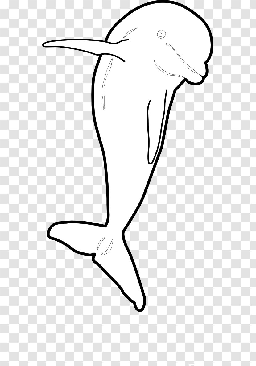 Beak Drawing /m/02csf Line Art Clip - Shoe - Finger Transparent PNG
