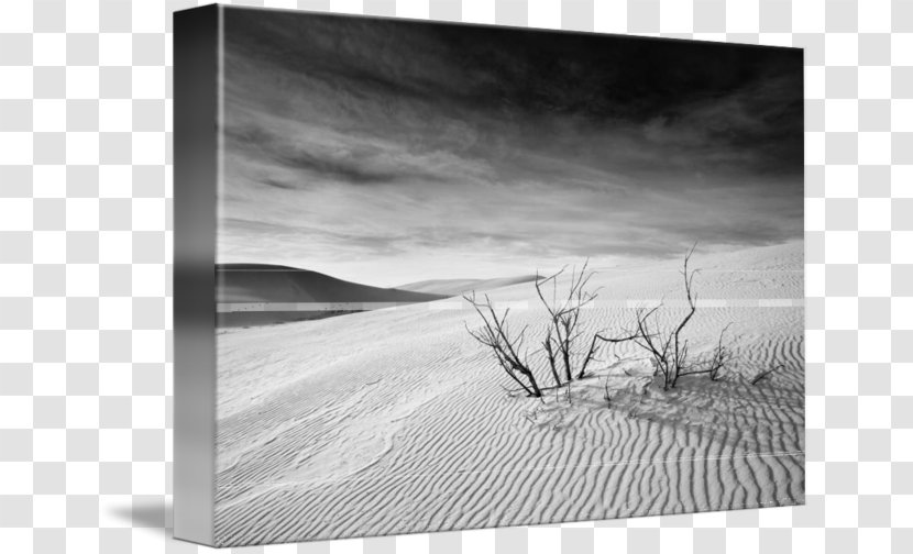 Still Life Photography Picture Frames Stock - Monochrome - Wood Transparent PNG