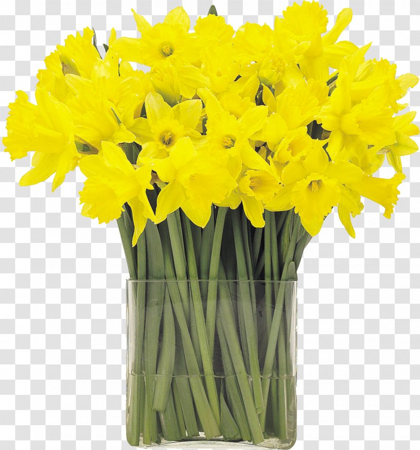 I Wandered Lonely As A Cloud Flower Narcissus Pseudonarcissus Hyacinth Tulip - Yellow - Mother's Day Transparent PNG