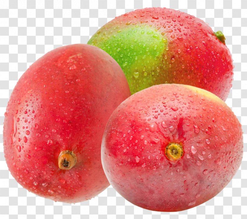 Organic Food Fruit Mango Transparent PNG