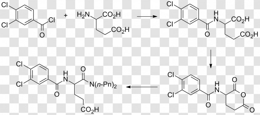 Molecule Water Simple Lipid Amphiphile Drawing - Diagram Transparent PNG