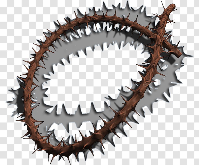 Crown Of Thorns Thorns, Spines, And Prickles Blender ZBrush Poser - CROWN Transparent PNG