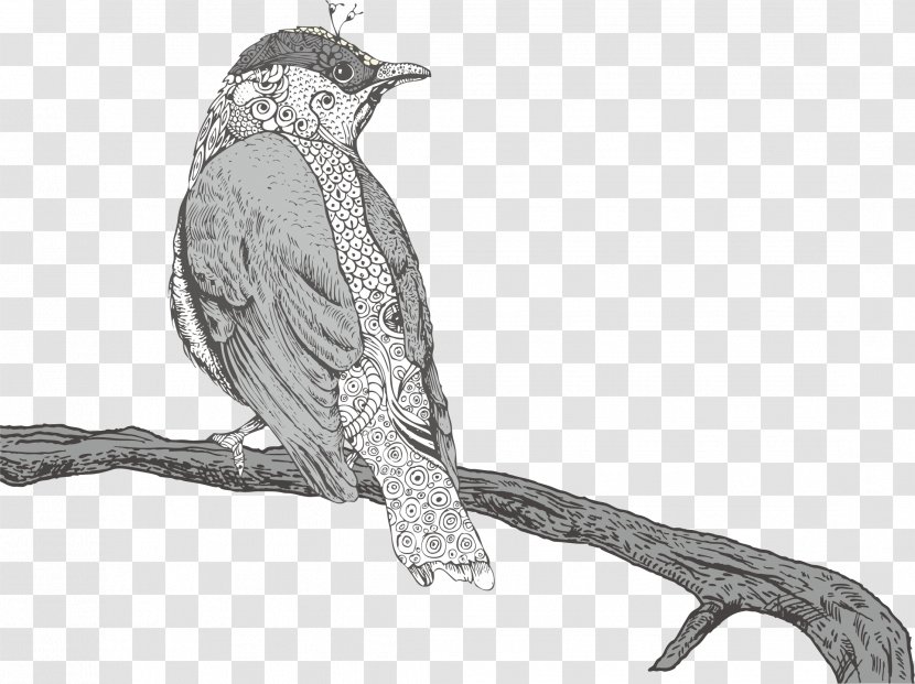 Drawing Royalty-free Illustration - Feather - Bird Transparent PNG