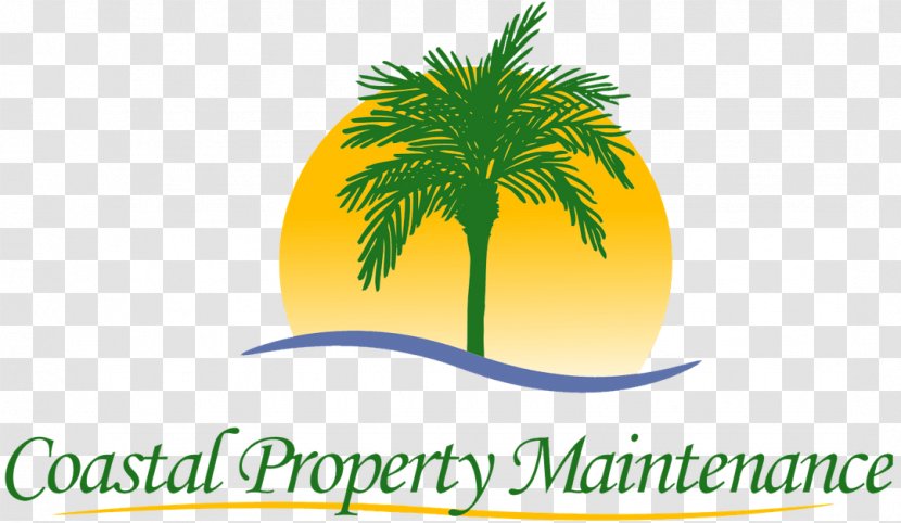 Destin Date Palm Logo Trees Brand - Arecales Transparent PNG