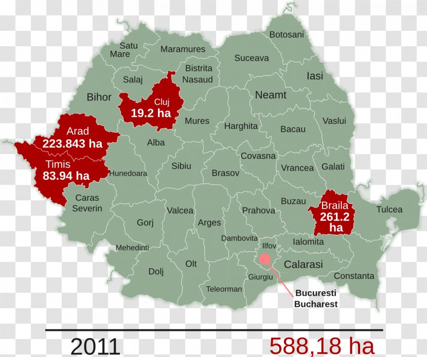 Romania Genetically Modified Organism Genetics Crops Food - Omg Transparent PNG