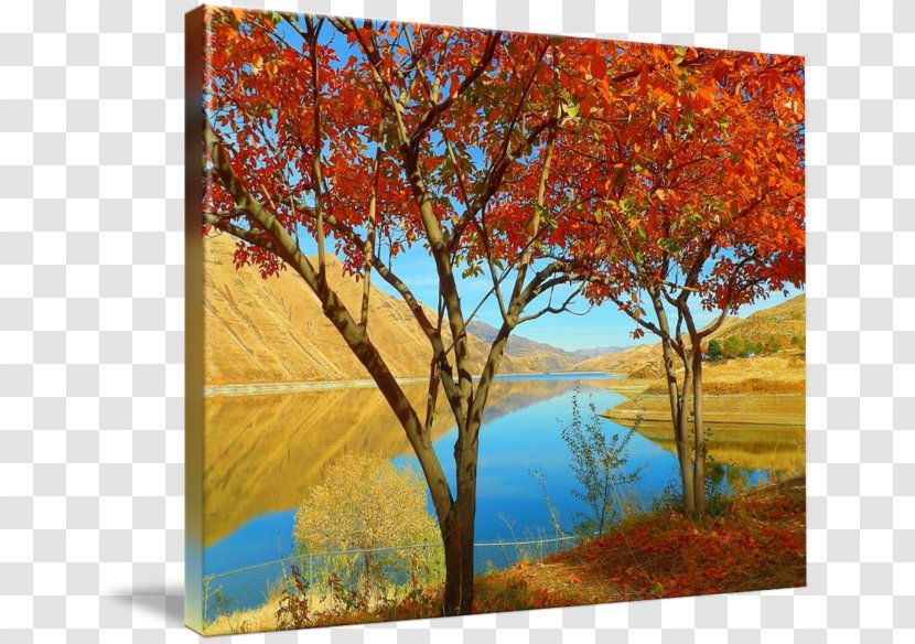 Painting Acrylic Paint Gallery Wrap Landscape - Spring Transparent PNG