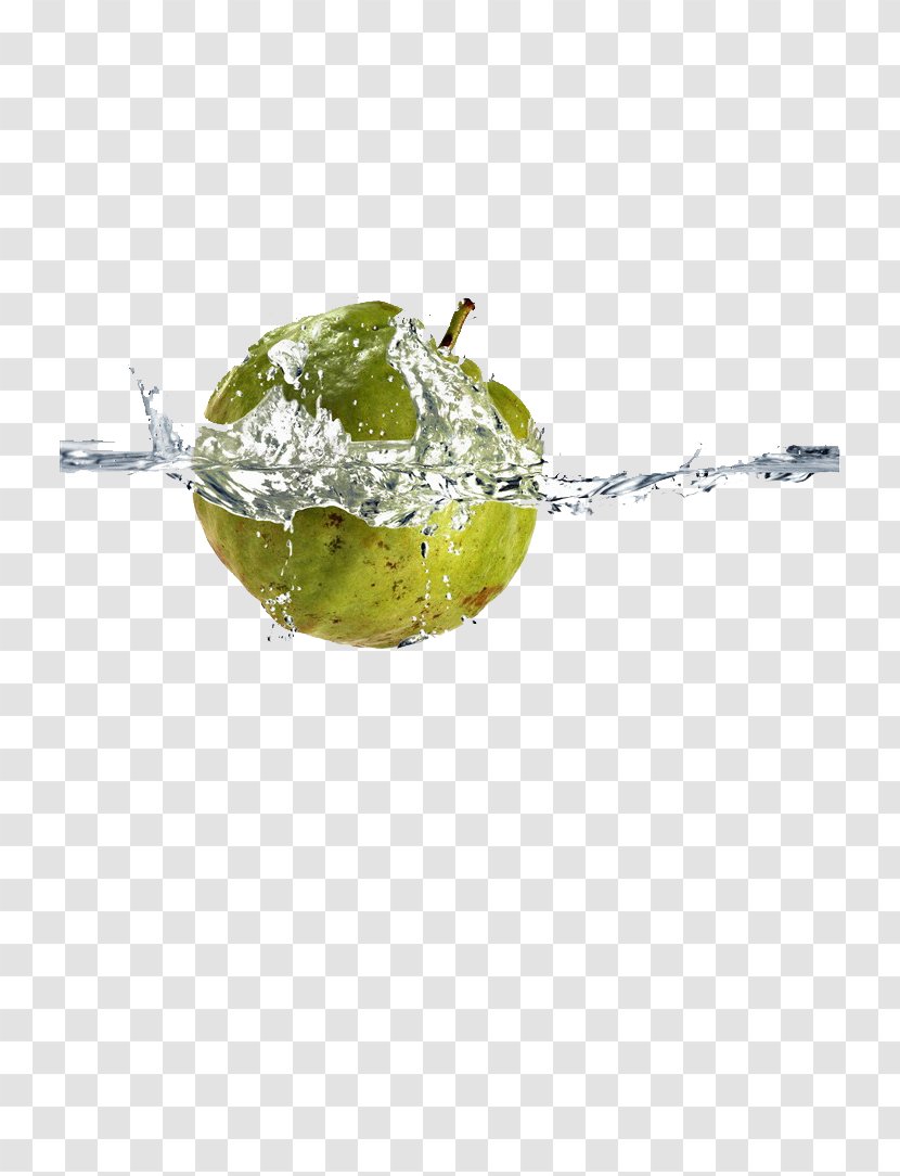 Auglis Lime Apple - Lemon In The Water Transparent PNG