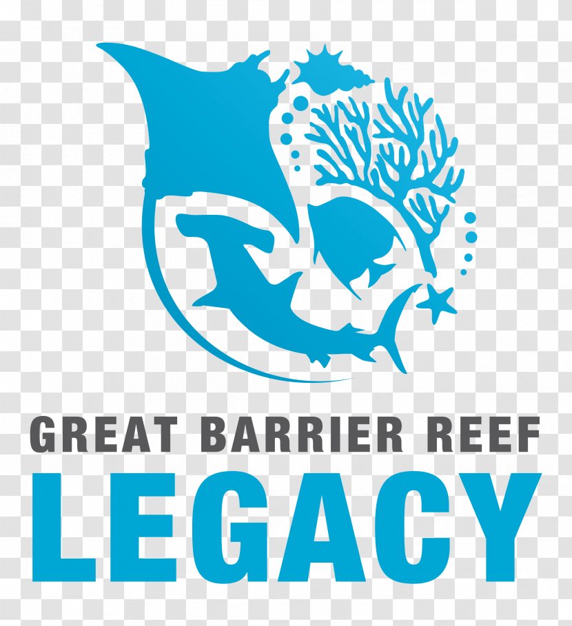 Cairns Coral Sea Reef Daintree - Artwork - Alliance Transparent PNG
