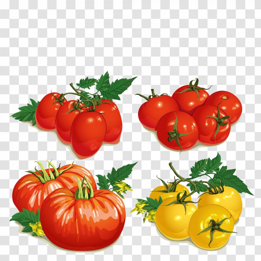 Cherry Tomato Soup Vegetable - Local Food - Tomatoes Transparent PNG