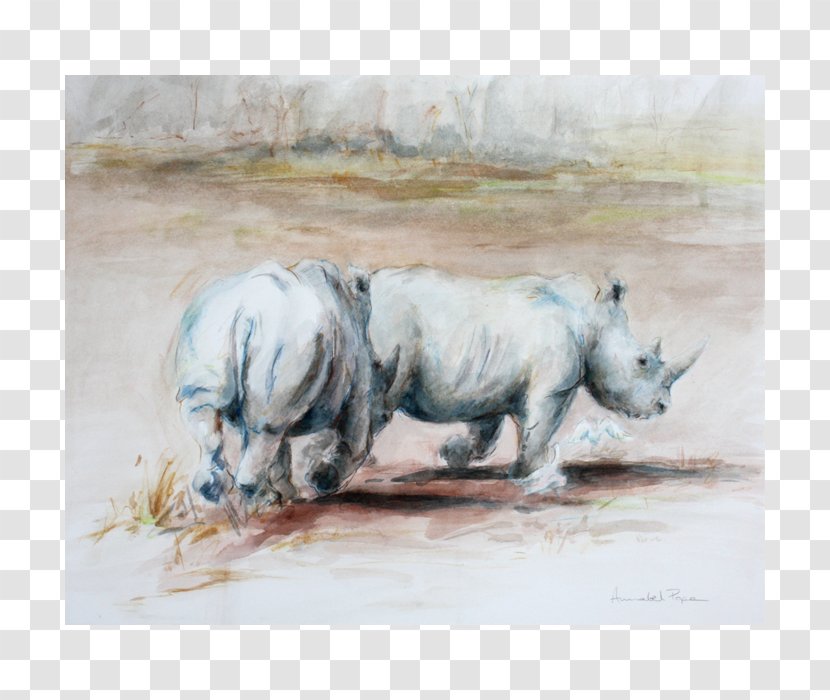 Rhinoceros Watercolor Painting Terrestrial Animal - Snout Transparent PNG